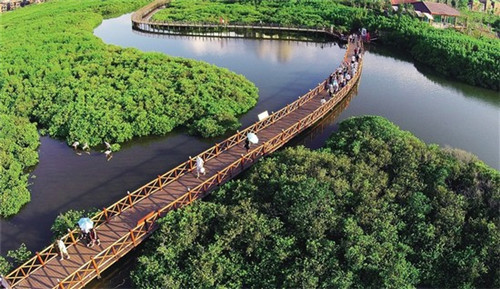 小龙坎火锅食材超市