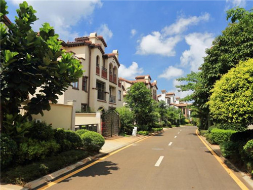 黑香米品牌加盟费用多少钱