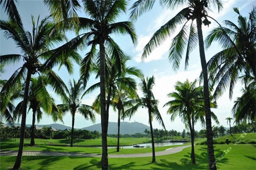 加盟店营销怎么经营