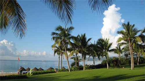 莎莉最后和谁在一起（莎莉是谁）