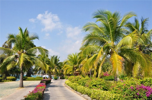 物流公司起名字大全集（物流公司取名字）